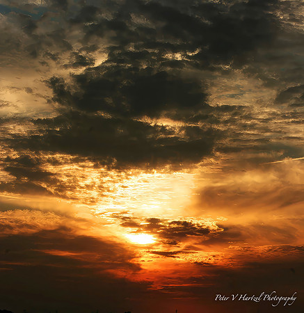 Hudson Sunset-soft light-PVH.jpg