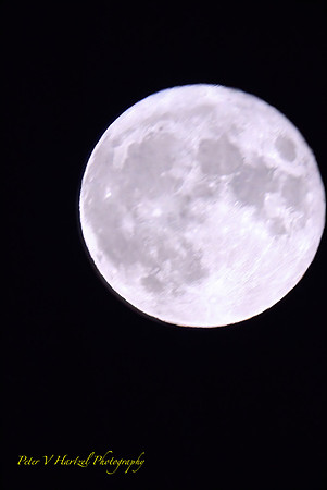 Buck Moon:cooling filter soft light