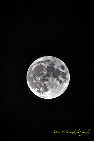 Corn Harvest Moon