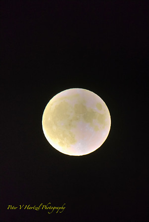 Corn Harvest Moon