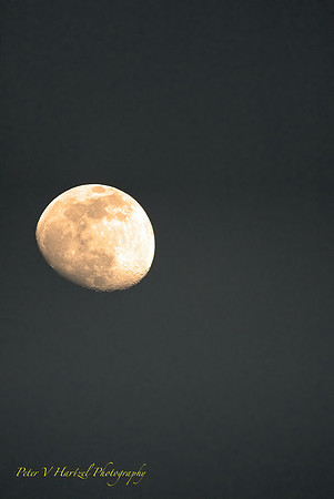 Spring Moon_001-SharpenAI-Focus-DeNoiseAI-clear