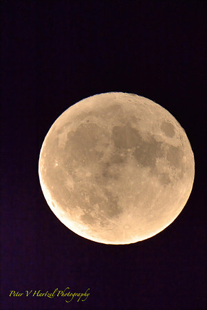 Buck moon:warming filter