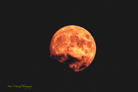 Strawberry moon:soft light