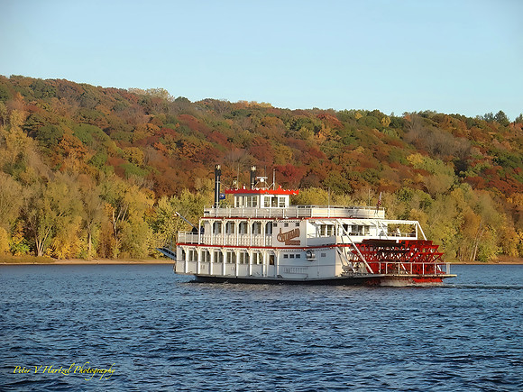 Fall on the st.croix -PVH