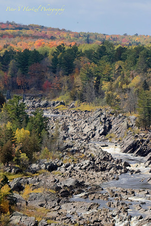 Fall Colors by the river in Jay Cooke