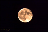 Harvest Moon at peak on day two