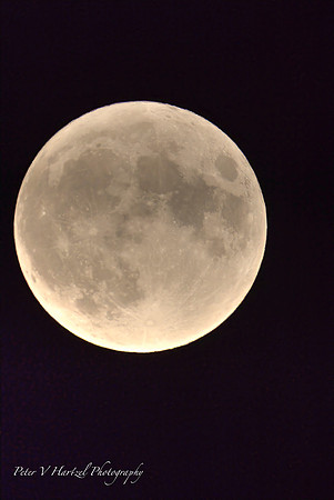 Blue moon In the summer sky-PVH