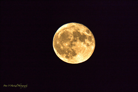 Harvest Moon w:cooling filter